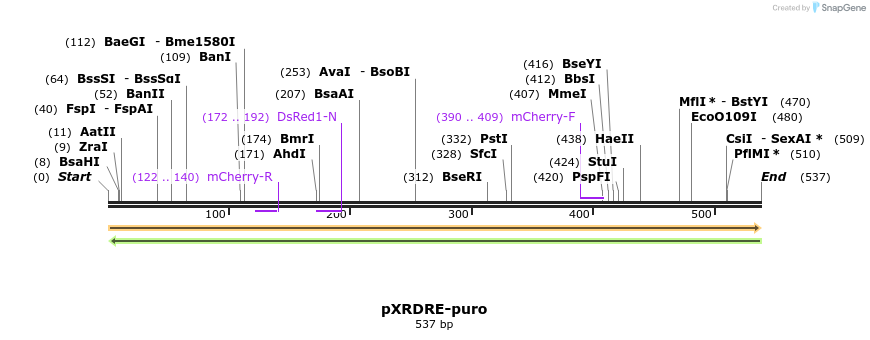 37832_map