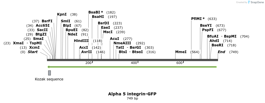 37833_map