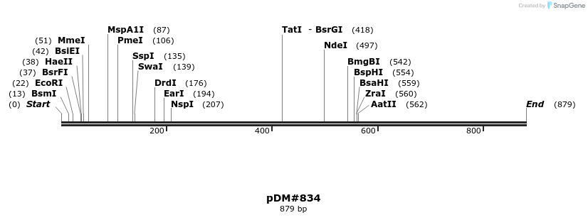 37843_map