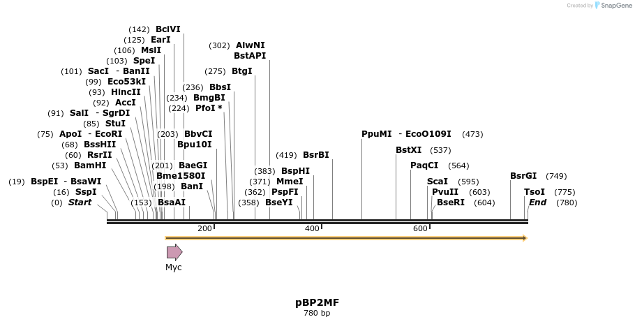 37844_map