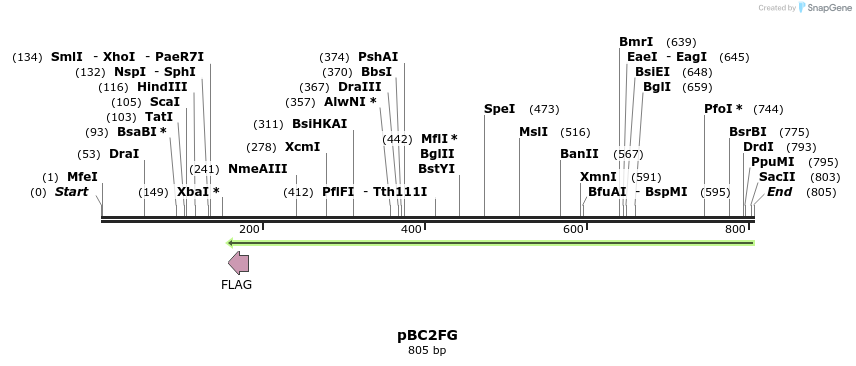 37845_map
