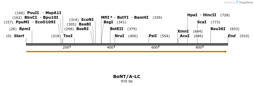 37846_map