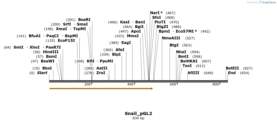 37848_map