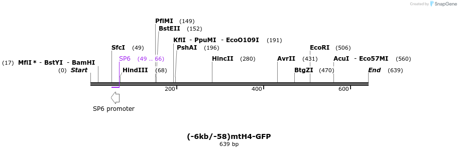 37850_map