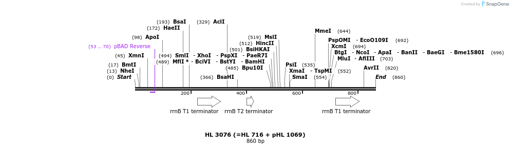 37851_map