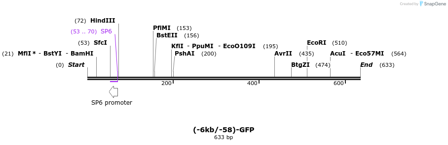 37852_map