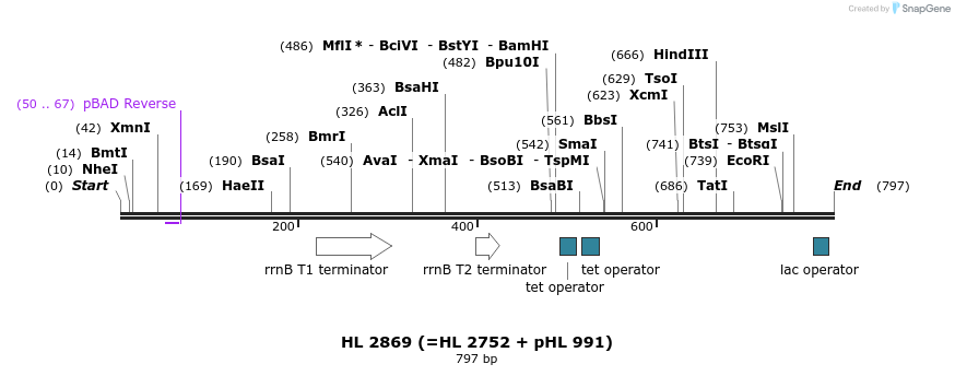 37855_map