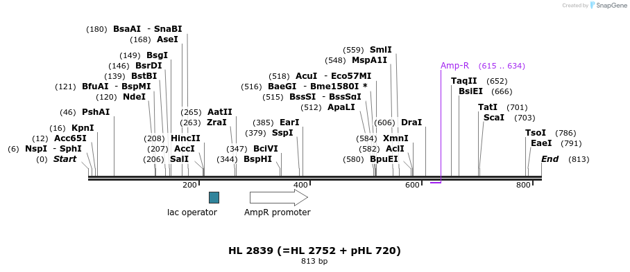 37856_map