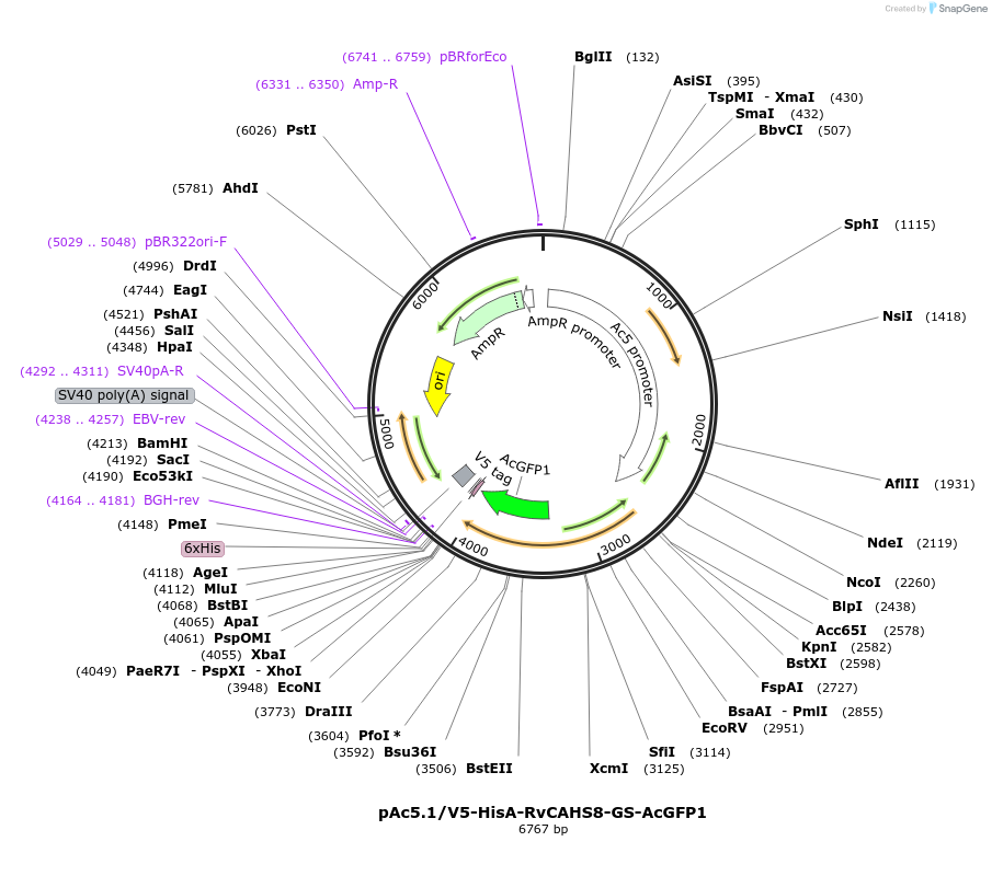 378565_map