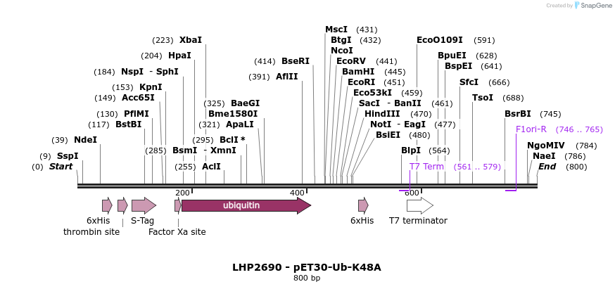 37863_map