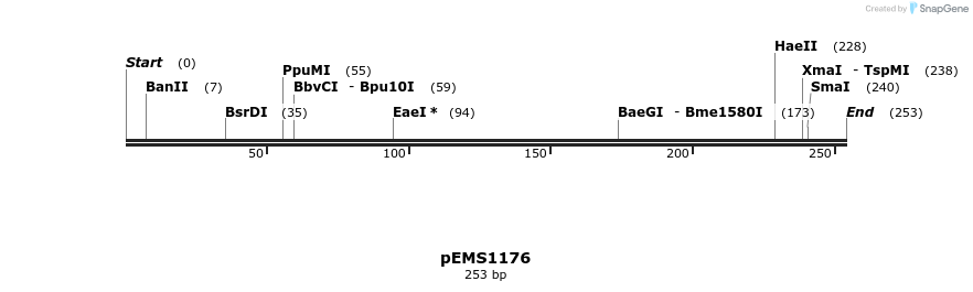 37864_map