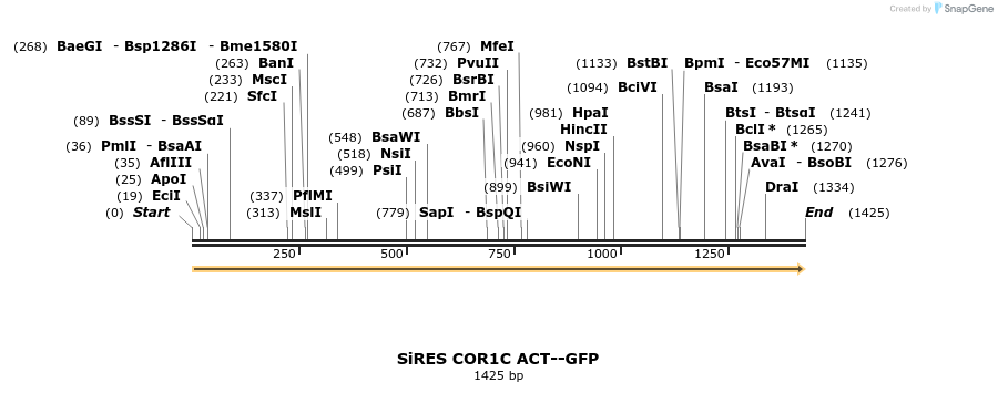 378643_map
