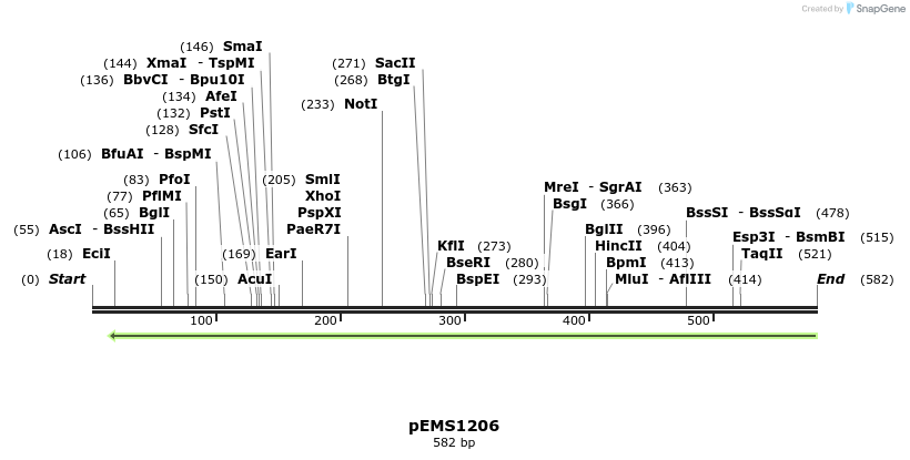 37868_map