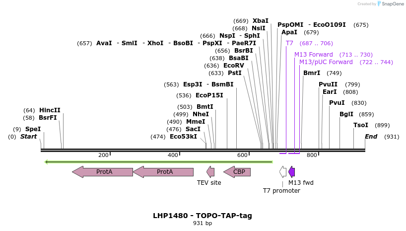 37869_map