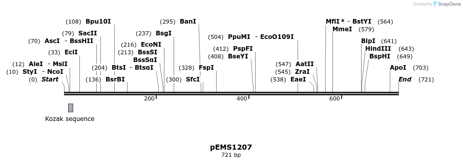 37870_map