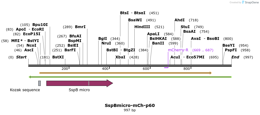 378719_map