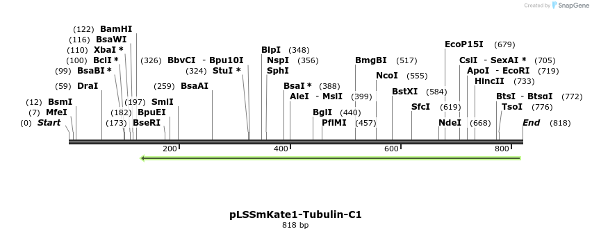 37872_map