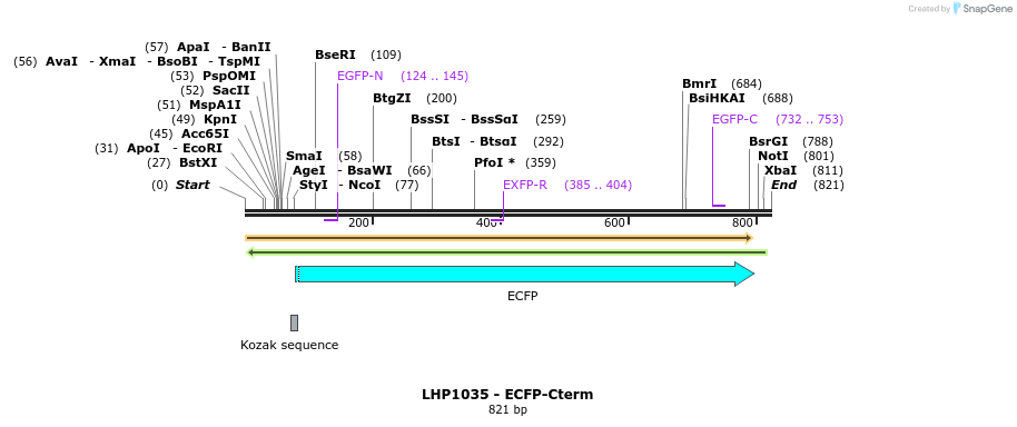 37873_map
