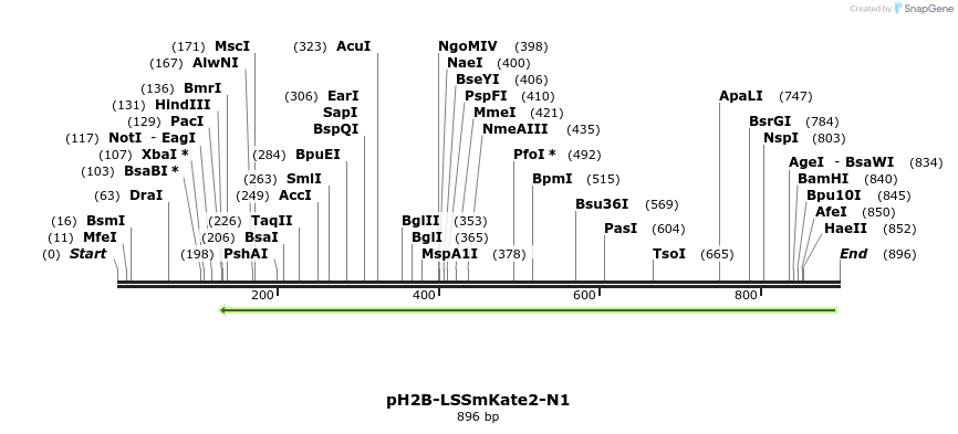 37874_map