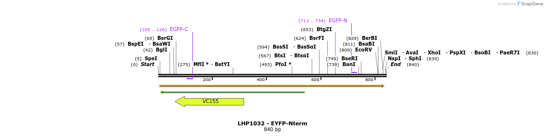 37876_map