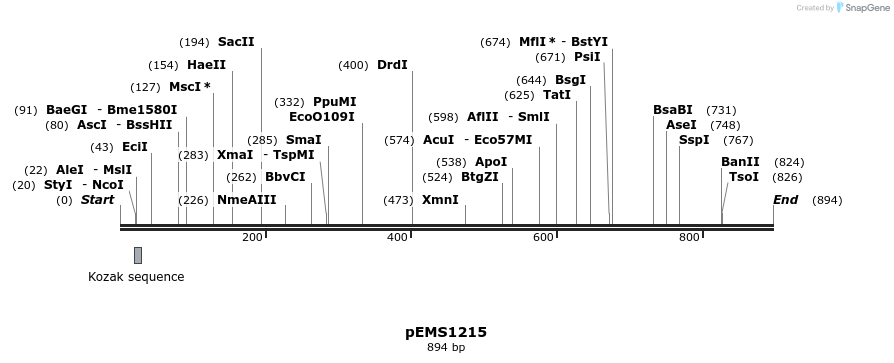 37879_map