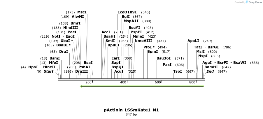 37880_map
