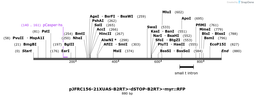 37885_map