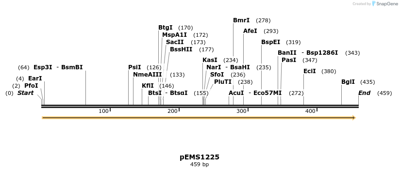 37897_map