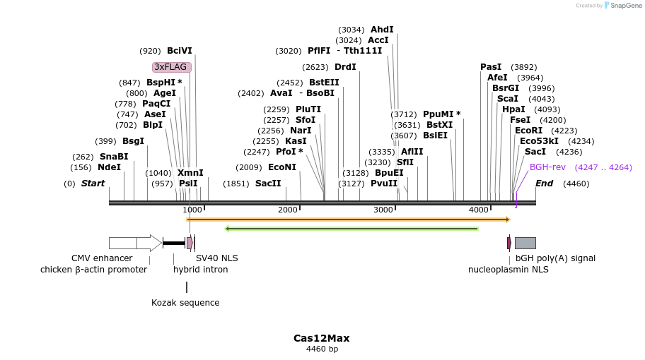 378974_map