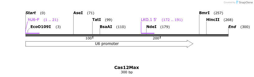 378975_map