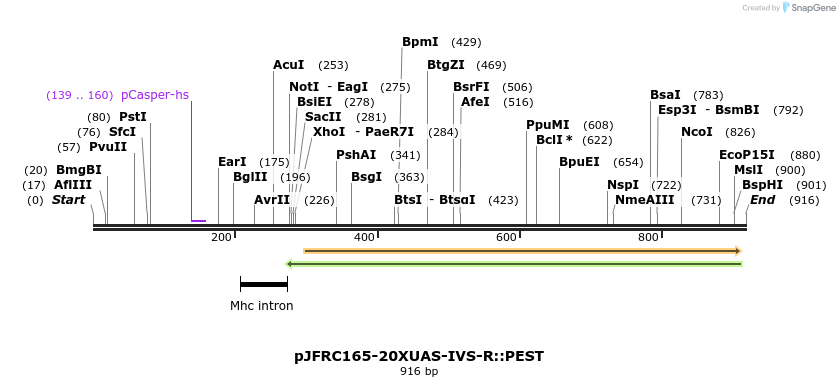 37899_map