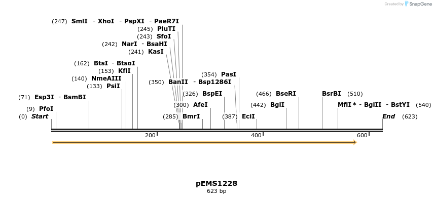 37900_map