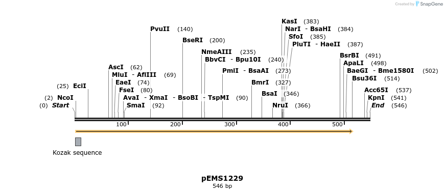 37902_map