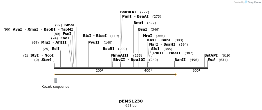 37903_map