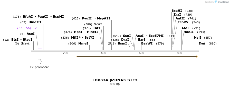 37904_map