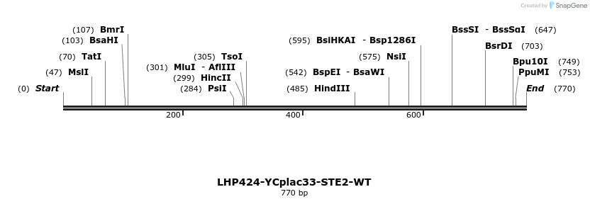 37906_map