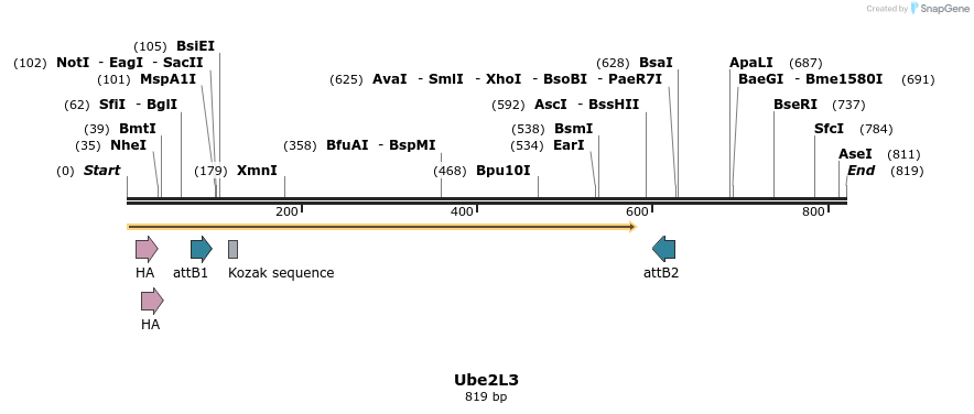 37908_map