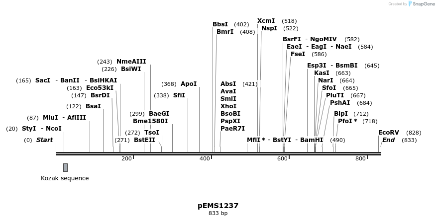 37909_map