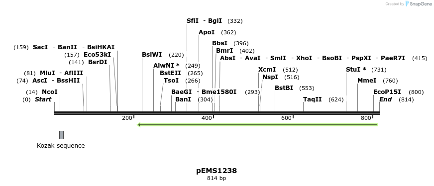 37912_map