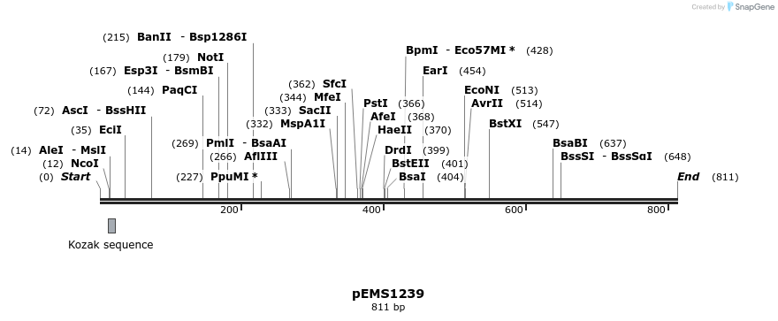 37913_map