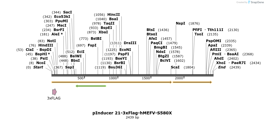 379135_map