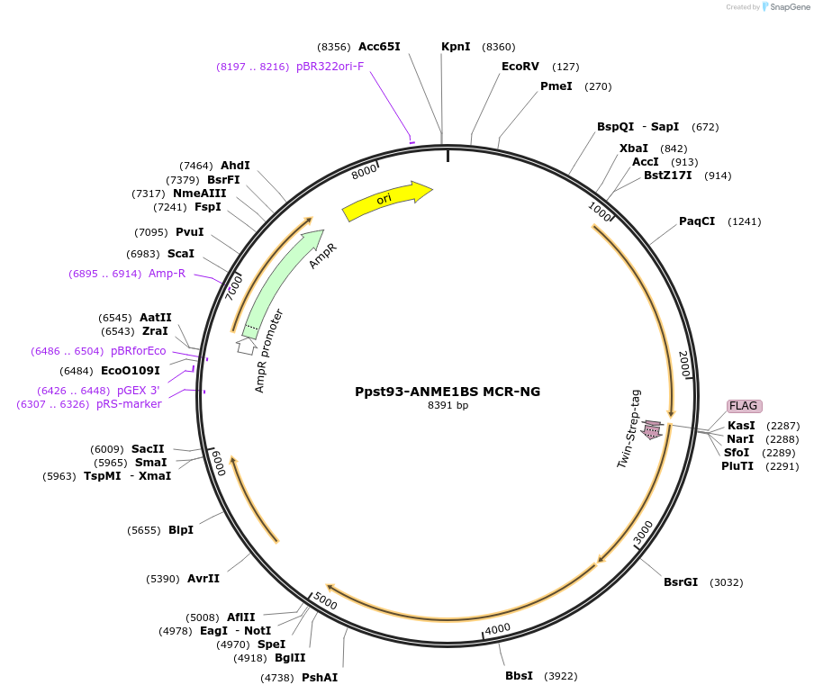 379179_map