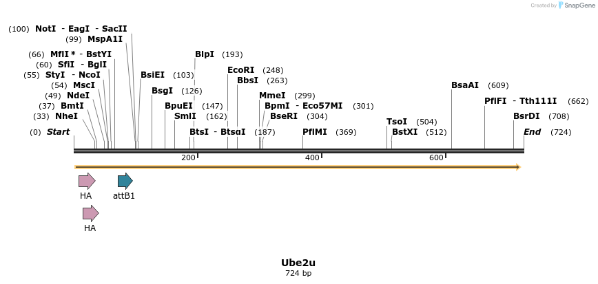37919_map