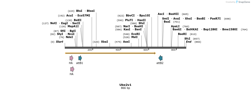 37920_map