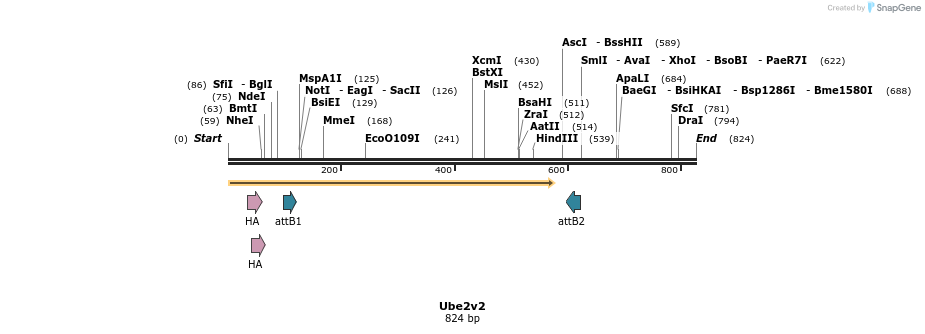 37921_map
