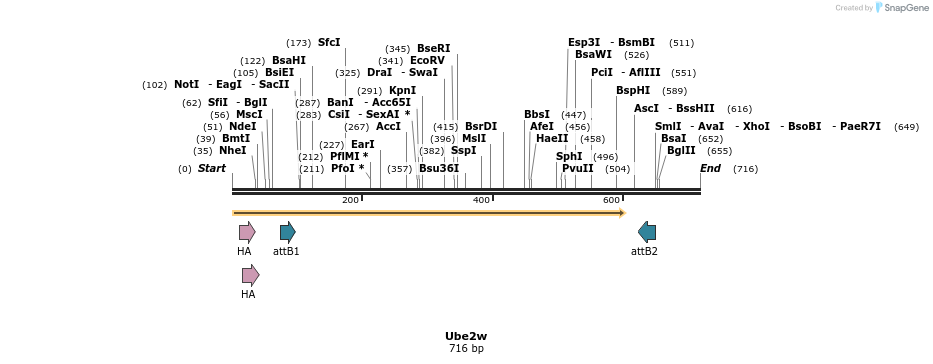 37923_map