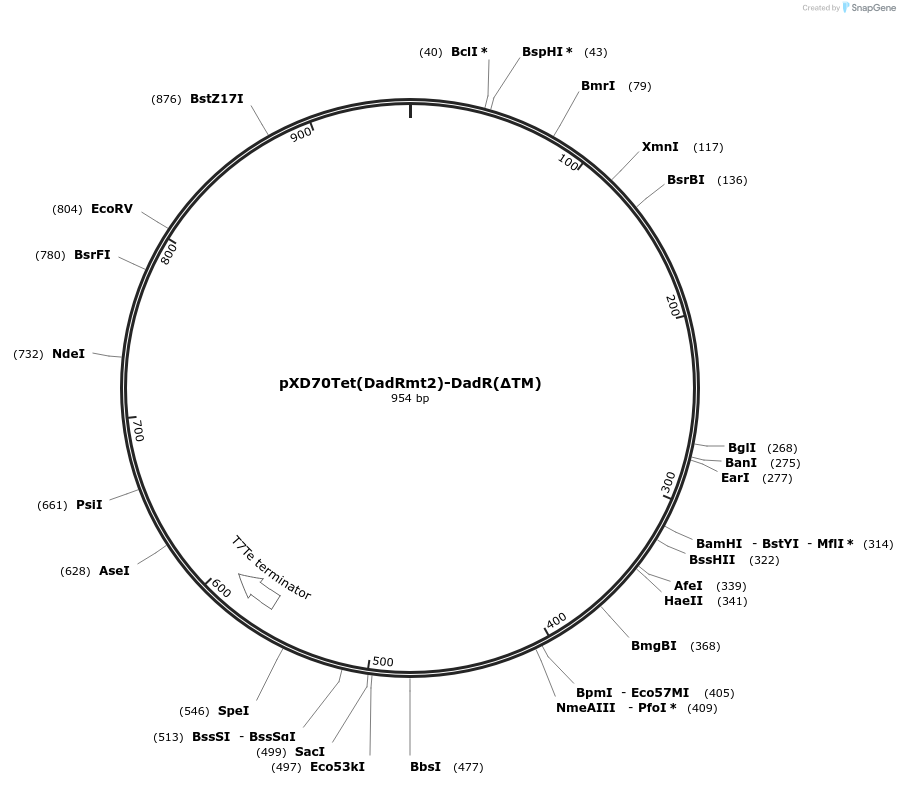 379254_map