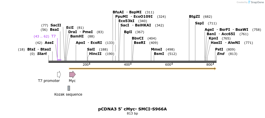 37939_map