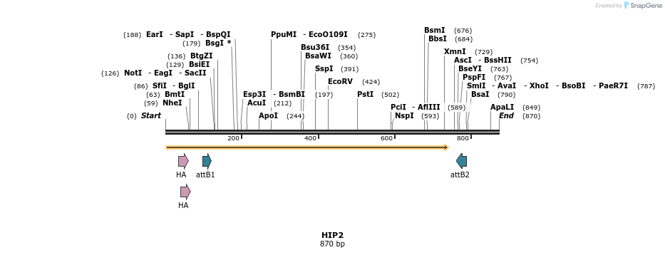 37945_map
