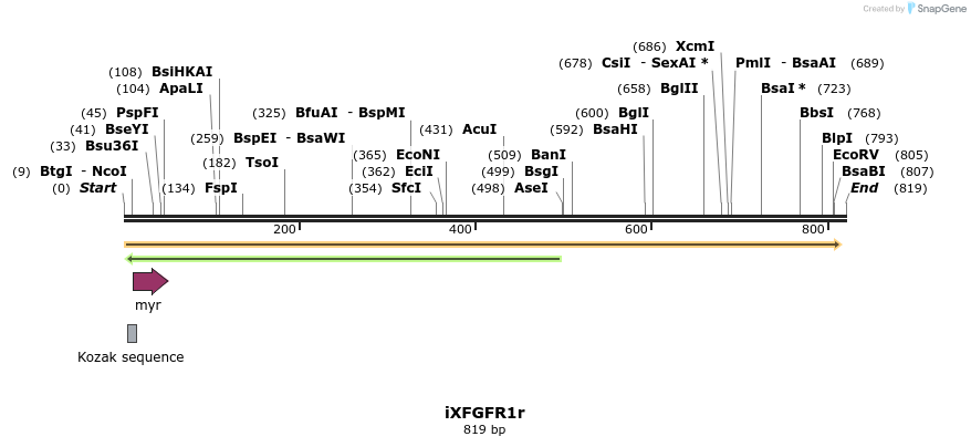 37950_map
